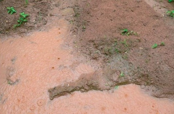 Raindrops disperse soil particles into the surface water and leave small impact craters.